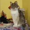Отзыв от Арина Назарова